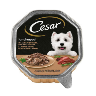 Pâtée pour chien Cesar ragout en sauce