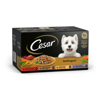 Pâtée pour chien Cesar Landragout