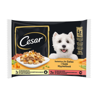 Pâtée pour chien Cesar sélection en gelée