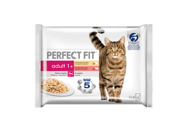 Perfect Fit pour chat boeuf et poulet