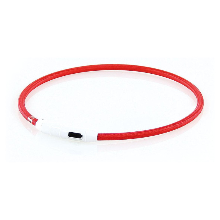 Collier lumineux pour chien rouge