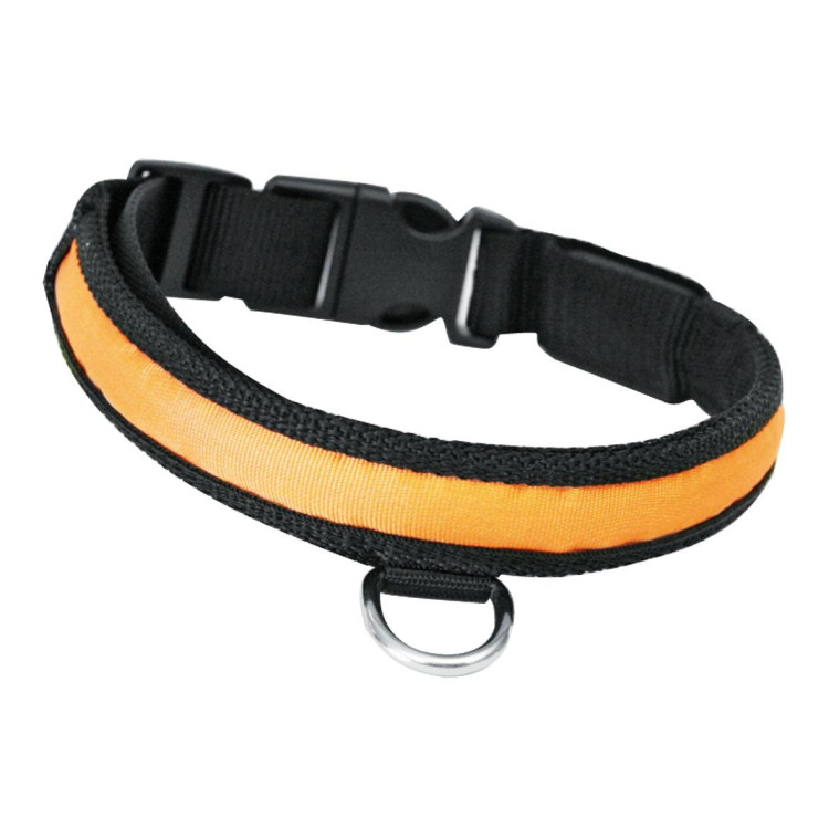 Collier lumineux pour chien nylon