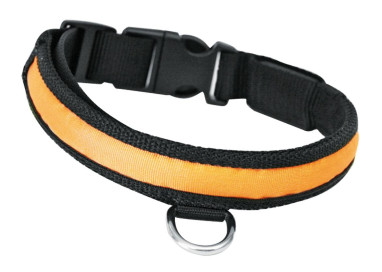 Collier lumineux pour chien nylon