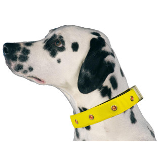Collier lumineux pour chien jaune led