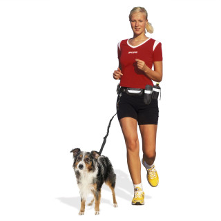 Laisse de jogging pour chien Swisspet