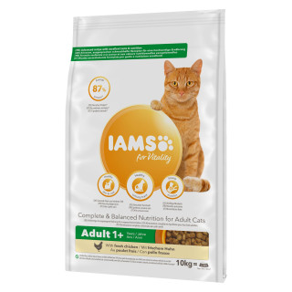 Nourriture sèche Iams pour chat