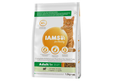 Nourriture sèche Iams pour chat