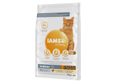 Nourriture sèche Iams pour chat