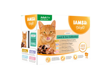 Nourriture humide pour chat Iams