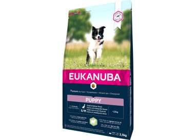 Eukanuba croquettes pour chiots à l'agneau