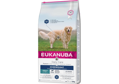 Eukanuba croquettes pour chien stérilisé en surpoids