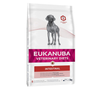 Eukanuba croquettes pour chien diététique intestinal