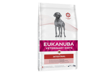 Eukanuba croquettes pour chien diététique intestinal