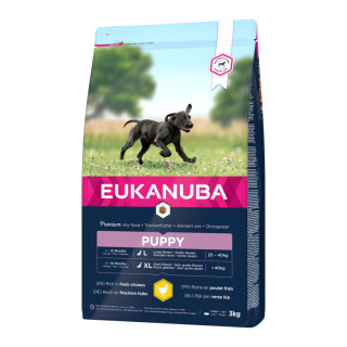 Eukanuba croquettes pour chiots de grandes races