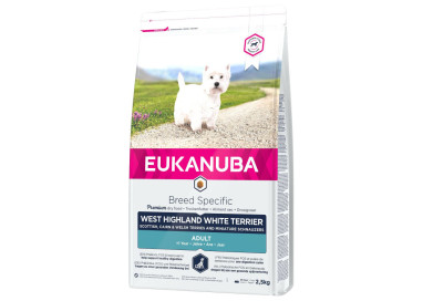 Eukanuba croquettes pour terrier écossais