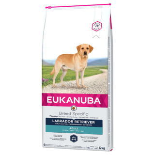 Eukanuba croquettes pour labrador