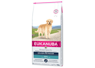 Eukanuba croquettes pour chien Golden Retriever