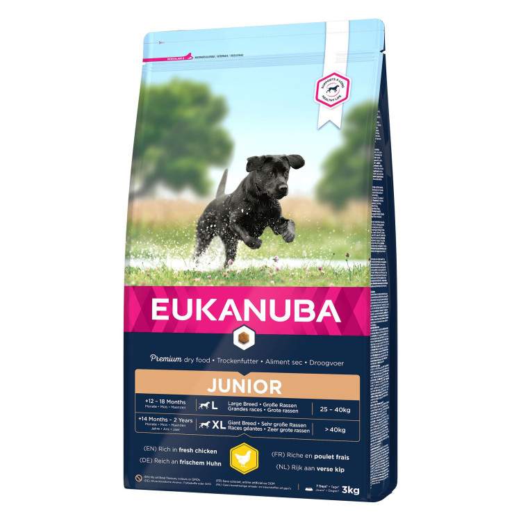 Eukanuba croquettes pour chiots de grandes races