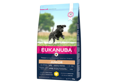 Eukanuba croquettes pour chiots de grandes races