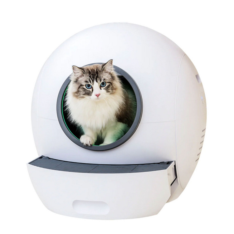 Liitère automatique pour chat