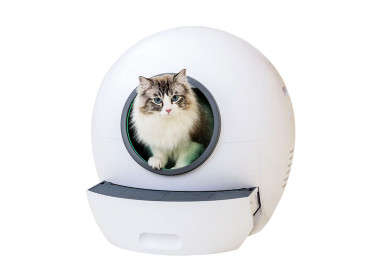 Liitère automatique pour chat