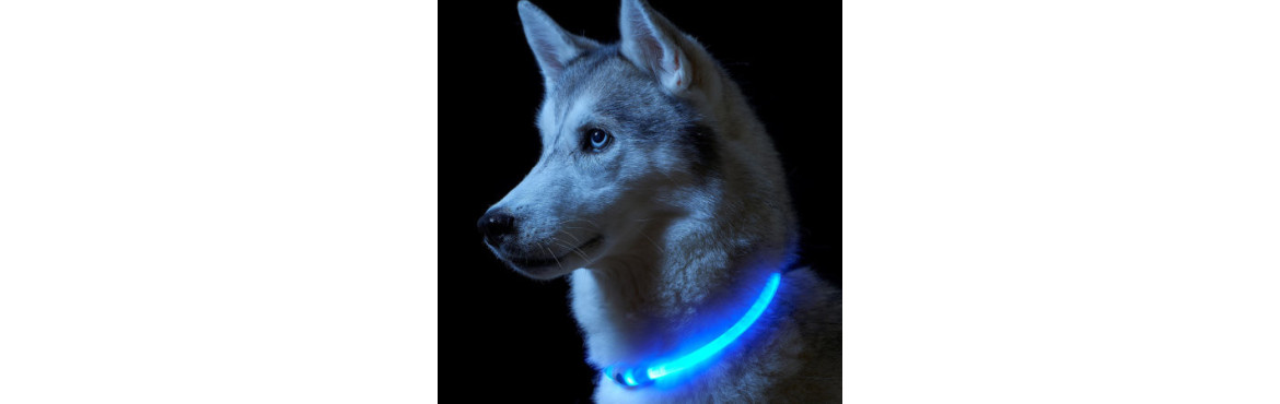 Catégorie Collier lumineux - essentiel-dog.ch : Collier led Reflex USB, 15-70cm , Collier led Norwa, 35-60cm , Collier univer...