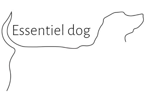 essentiel-dog.ch