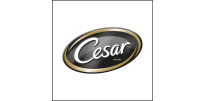  Cesar